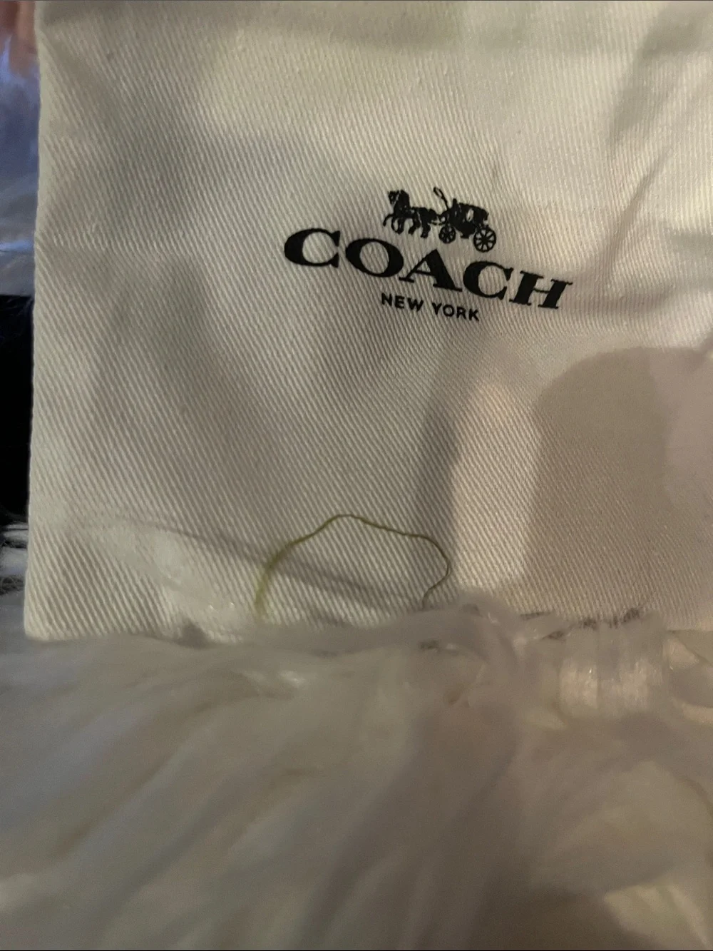 Coach earrings
